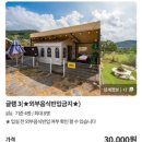 당일치기여행 코스추천 대성리 가평글램핑 엠지셀프바베큐 후기