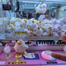 대빵인형뽑기 송탄점 이미지