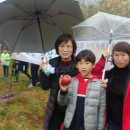 산북초등학교 이미지