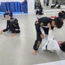 화랑합기도&부여주짓수 이미지