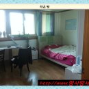 강원도 횡성군 교항북로 이미지