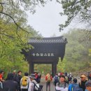 20260418대구 비슬산(유가사~수도암~천왕봉~참꽃군락지~대견사~주차장) 이미지
