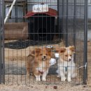 강원도 정선에 다녀와서 / 둘쨋날 이미지