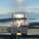 온실속베니 이미지