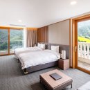 어비숲민박 이미지