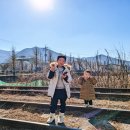 월드(World)행정사 이미지