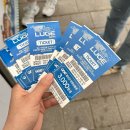 헬멧 조형물 | 횡성 루지체험장_아무리 그래도 한우 모양 헬멧이라니요 : 세계 최장 길이 2.4km 어른 아이 단체방문