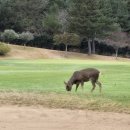 공항골프존 이미지