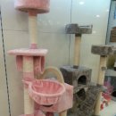 러브펫애견용품 이미지