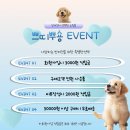 쁘띠 애견 이미지