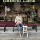 수현건강식품 | 임준생 다이어트 । 순환 • 대사 회복 [ 153 챌린지 ]