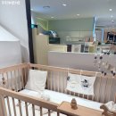 솔리드빌딩 | 아기 원목침대 브랜드 안데르센/ 펀우드/하로월드/ 니스툴그로우 방문후기