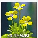 희망체육공원 이미지