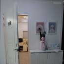 화이트버블애견미용학원