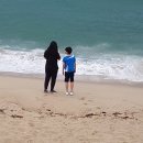 제주특별자치도스쿼시연맹
