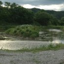 자연애민박 이미지