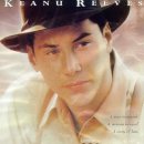 구름속의 산책 | 영화 구름 속의 산책 결말 정보 줄거리 출연진 후기 감상평