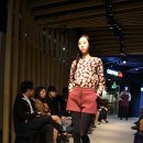 [CFDK] 동대문 LOTTE FITIN과 함께하는 CFDK 패션쇼 -OPEN RUNWAY 후기