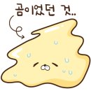 명지민박 이미지