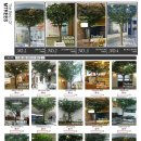 엠트리스