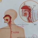 역류성식도염 좋은 음식 식사 진단 이미지