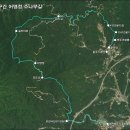소나무호스텔