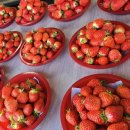 영순농장 이미지