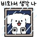 퐁이네 애견 이미지