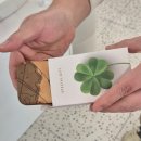 맘모스안경 이미지