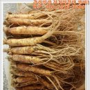 금산인삼 이미지