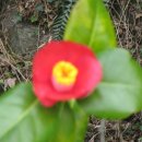 동진초등학교 이미지