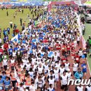 낙동강변17 이미지