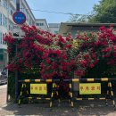 분식카페 몬스터 네이버블로그