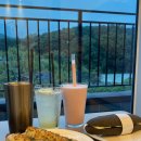 피자명인 덕산점 | [충남/예산] 예산대형카페 덕산카페추천 파인그로브