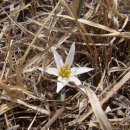 바다별장 이미지