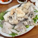 아구식당 티스토리