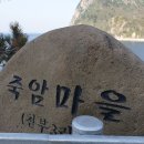 쌍정초 이미지