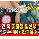 판파니