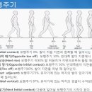 조이핏 이미지