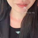 슬리핑립마스크 추천? 입술 주름 고민이라면 프리티프릭 립마스크