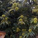 서여주세종영농조합법인 이미지