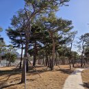 홍예로 충청투데이