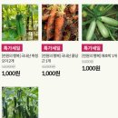 천원의행복 | 식명관 천원의 행복 야채 후기｜천원 야채 직접 구매 솔직 리뷰