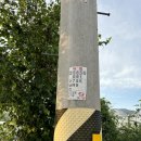 천창일농장 이미지