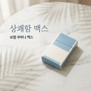 보헴 쿠바나 맥스 가격 특징 14년 만의 신제품 완벽 정리