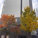 남구-155 | 울산 남구 다이어트 / 셀포랩러블리점 💪🏻