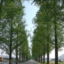 우정기업사 이미지