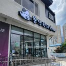 뚱냥한 하루 이미지