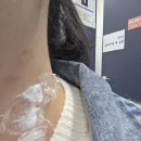 새론한방병원 이미지