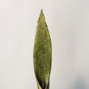 석림아트센터